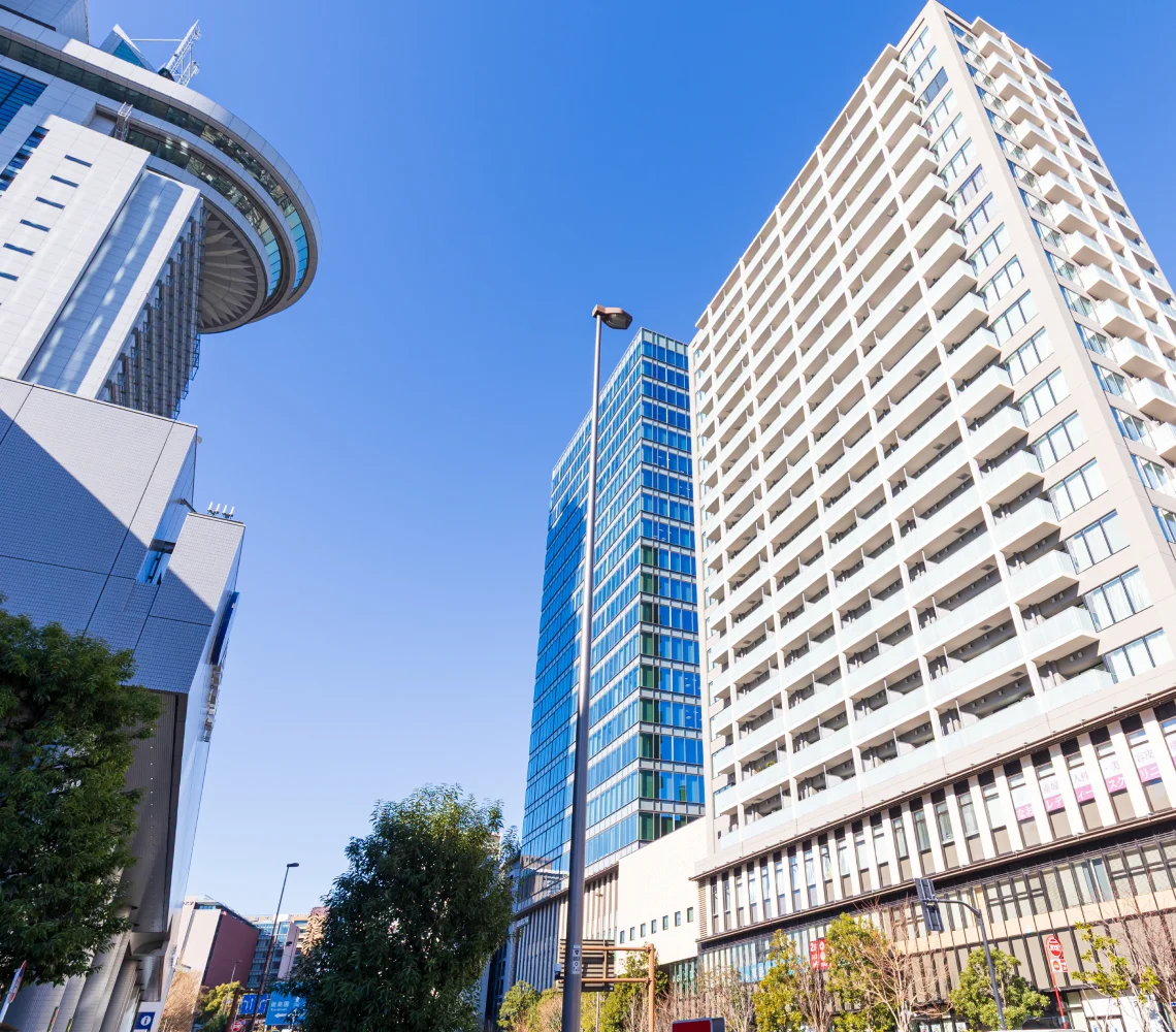 プロジェクト実績